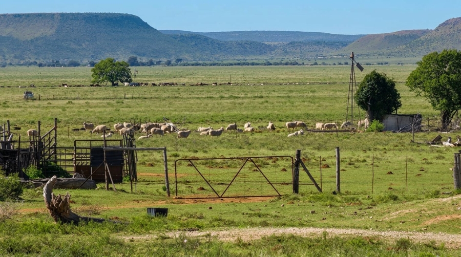Commercial Property for Sale in Fauresmith Rural Free State